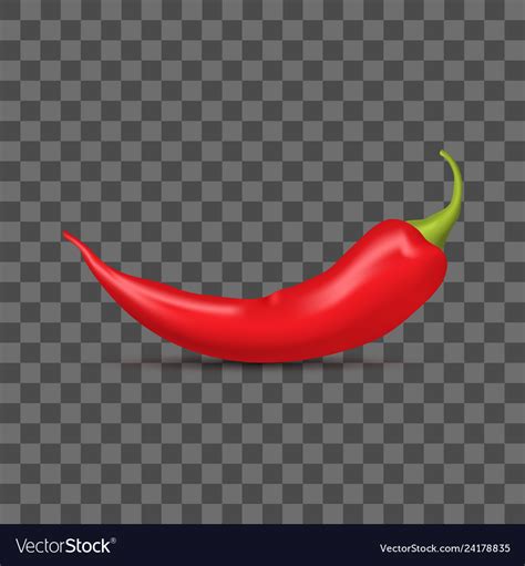 Realistic Detailed D Whole Red Hot Chili Pepper Vector Image