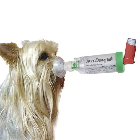 AeroDawg Aerosol Chamber | Order from Praxisdienst