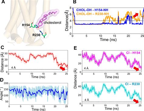 Membrane Lipids Are An Integral Part Of Transmembrane Allosteric Sites