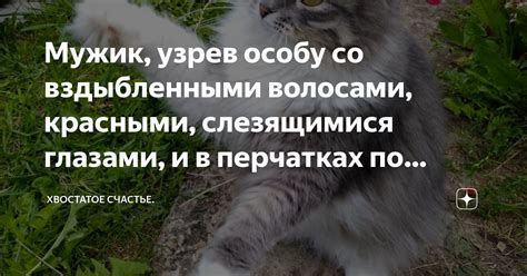 Мужик, узрев особу со вздыбленными волосами, красными, слезящимися ...