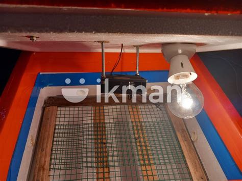 Egg Incubator For Sale In Jaffna City Ikman