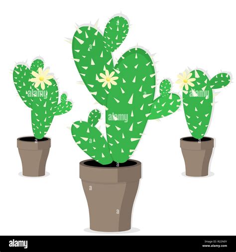 Mexican Set Of Cactus Vector Illustration Cartoon Style Stock Vector Image And Art Alamy