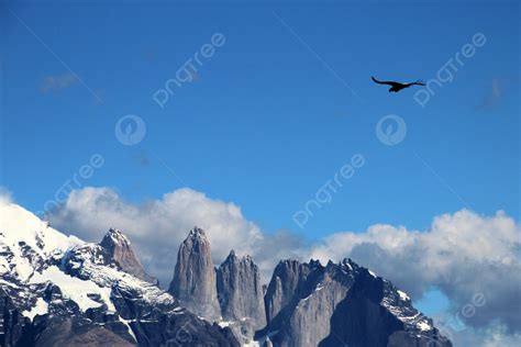 In Parque Nacional Torres Del Paine Chile Andean Condors Take Flight ...