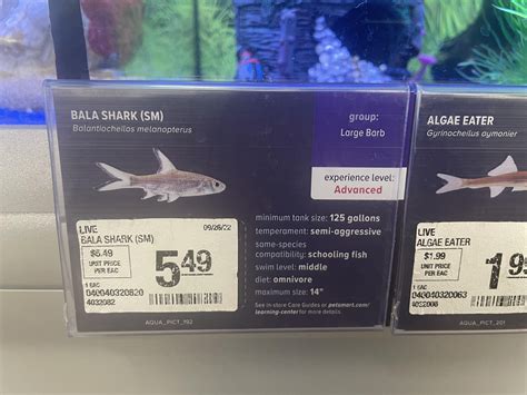 Vets debate the efficiency of dog shots petsmart versus local clinics 24