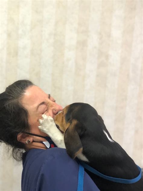 Brunswick Animal Hospital Home Facebook