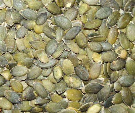 Голосеменные Тыквы Сорта С Фото — Фото Картинки