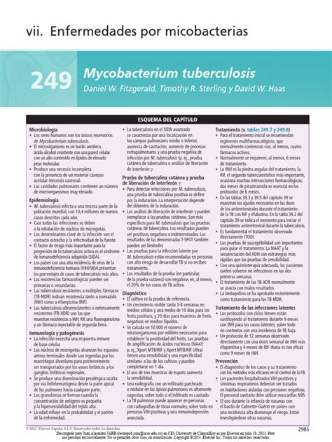 Mycobacterium Tuberculosis | PDF | Tuberculosis | Mycobacterium 