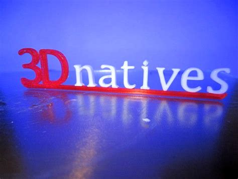 dnatives logo en relief  rvbob model