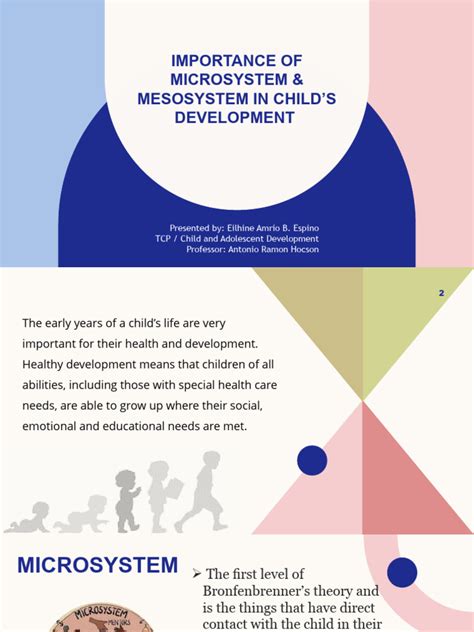 importance  microsystem mesosystem  childs development