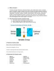 BioChem Assignment Docx 1 What Is Protein Proteins Are Large