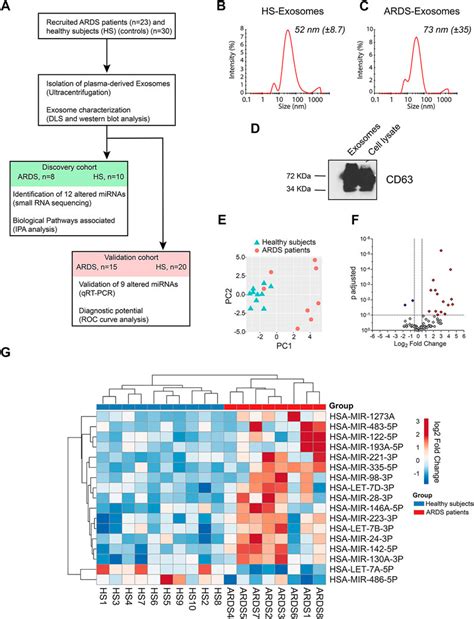 Frontiers A Blood Exosomal Mirna Signature In Acute Respiratory