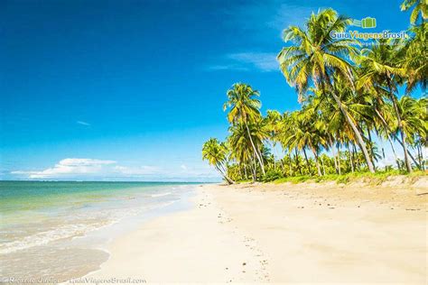 Praia De Patacho Alagoas - PRAIA DO PATACHO (AL): o que saber antes de ir, fotos e o que fazer