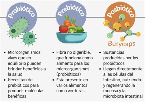 ¿posbiótico Prebiótico Y Probiótico Cuál Es La Diferencia Pharma Box