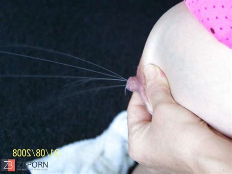 Puffies Some Large Ones And Some Rock Hard Ones ZB Porn