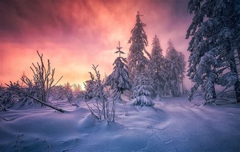 Winter Sunrise Nature Wallpapers Top Free Winter Sunrise Nature Backgrounds Wallpaperaccess