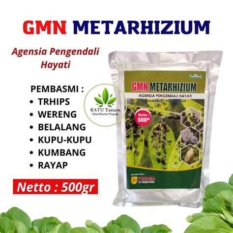 Jual Pupuk Metarizium Pembasmi Hama Serangga Gr Paling Aman Anti