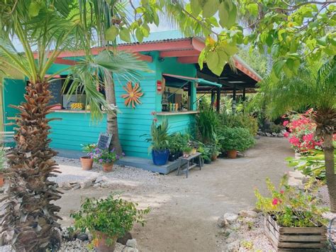 Aruba Butterfly Farm in 2022 | Best vacation spots, Vacation places