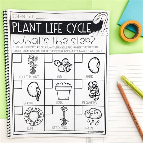 Elementary Science Units Make Teaching Plant Life Cycles Easy Worksheets Library