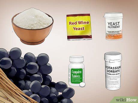 how to make muscadine wine at home