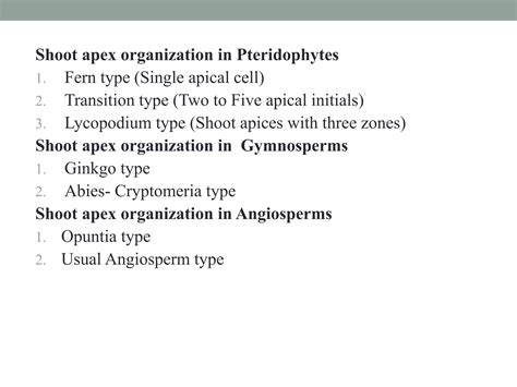 Shoot Apex Organization And Its Theories Ppt