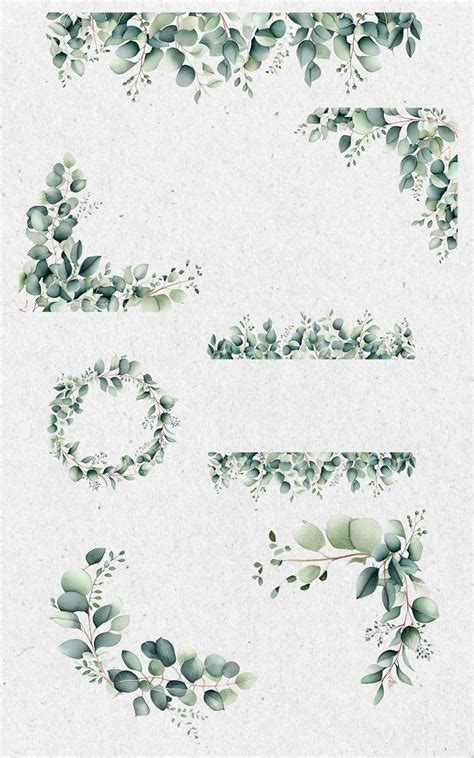 Watercolor Eucalyptus Leaves Clipart Eucalyptus Shower Greenery