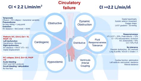 Critical Care Ultrasound in Shock: A Comprehensive Review of Ultrasound