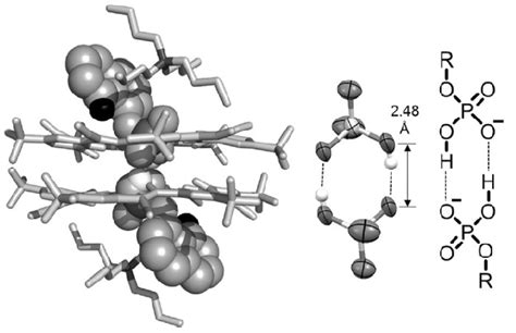 Single Crystal X Ray Structure Of The Complex Formed Between