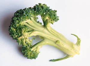 Top 5 Healthiest Dark Green Vegetables - Healthy Green Vegetables