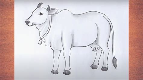 How To Draw A Cow Easy Way Cow Drawing Step By Step Cartoon Cow