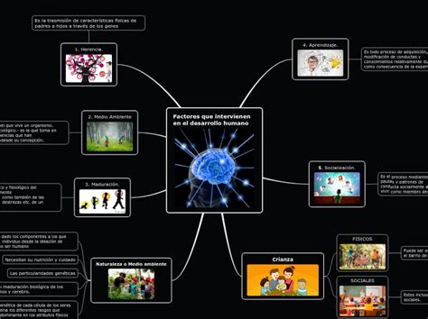 Factores Que Intervienen En El Desarrollo Mind Map Nbkomputer