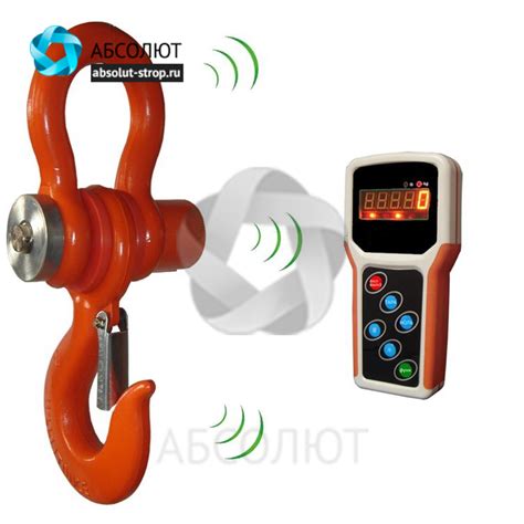 Крановые электронные весы ВЭК-Д: купить, цена, доставка в Нижнем ...