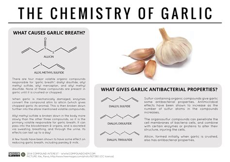 Compound Interest - What Compounds Cause Garlic Breath? – The Chemistry