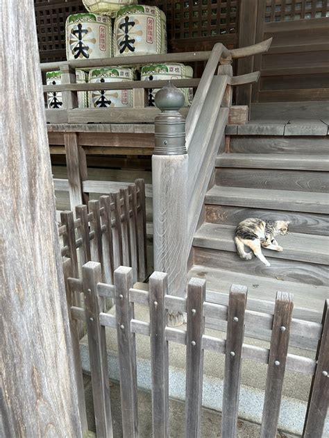 雀神社の御朱印・アクセス情報（茨城県古河駅）ホトカミ