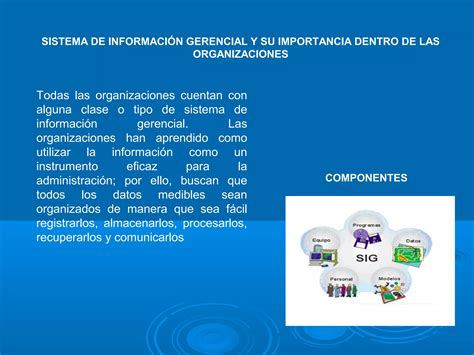 Sistema de información gerencial PPT