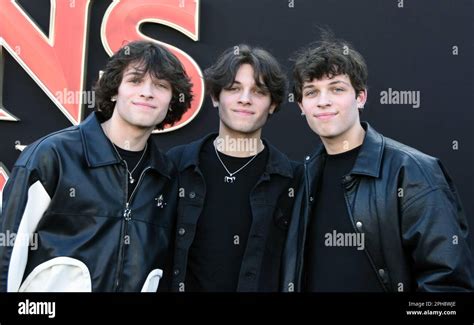 Sturniolo Drama: Which Sturniolo Triplet Is Gay And Why It Matters.