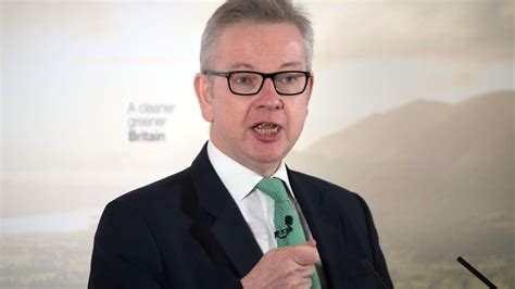 Arch Brexiteer Michael Gove Admits There Is A Risk Food Prices Will