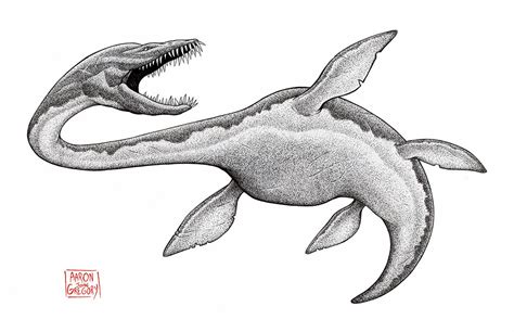 Elasmosaurus by aaronjohngregory on DeviantArt