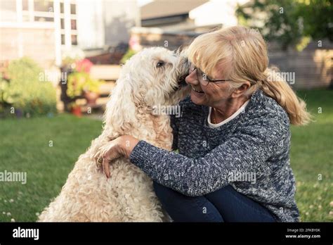 Reife Blonde Frau Mit Hund Fotos Und Bildmaterial In Hoher Aufl Sung Alamy