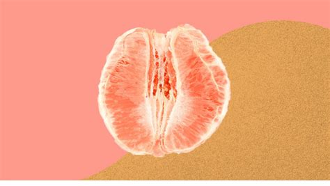 What Is A Normal Vagina Supposed To Look Like Michael S Blog