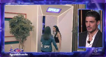 Lorenzo Spolverato Al Gf Se Fossi Gay L Avrei Detto E Shaila Mi Baso Su Ci Che Vivo Mia