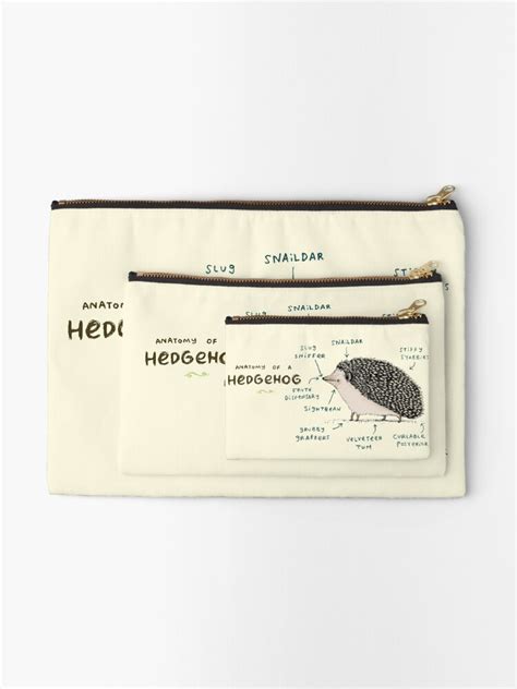 Anatomy Of A Hedgehog Zipper Pouch For Sale By Sophie Corrigan