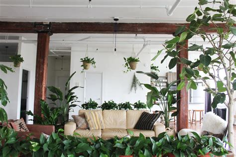 Artist's Sun-Filled Loft with Tons of Plants | Rent this location on ...