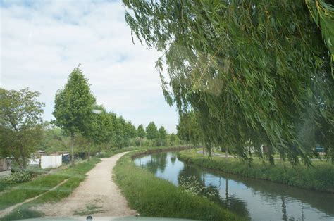 Canal de l’Ourcq. Une barge élagueuse améliore la gestion de la végétation
