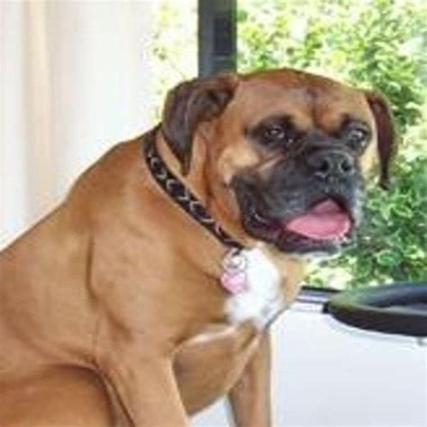 Cycata brunetka napalona milf jedzie ogromnego grubego kutasa na łóżku xHamster