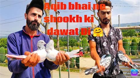 aqib bhai ne shookh ki dawat  youtube