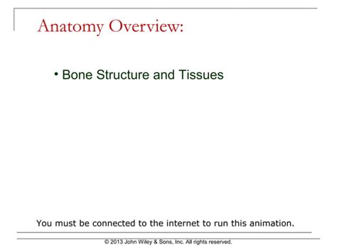 Chapter 6 The Skeletal System Ppt