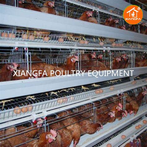 Layer Chicken Cage 128 Birds 4 Tiers Chicken Layer Cage，chicken Cage