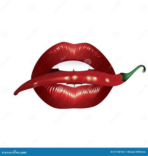 Hot Chili Pepper Sign Icon Spicy Food Symbol Vector Illustration CartoonDealer 79003028