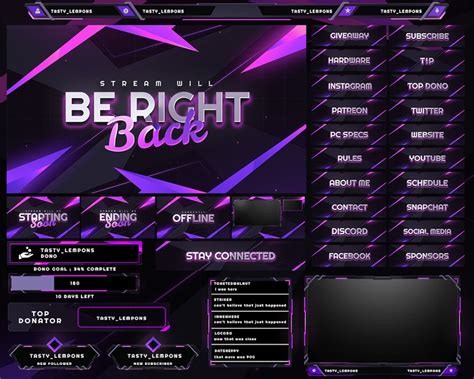 Pink Neon Twitch Overlay Package Webcam Screens Panels Alerts