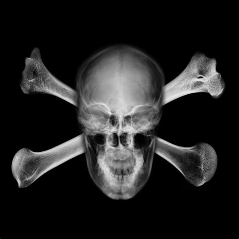 Wallpaper Skull Skulls Artistic